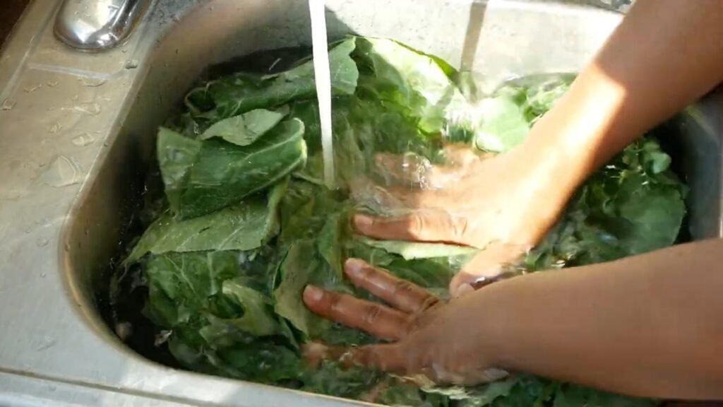Southern Collard Greens Scrubbing dirty collard greens